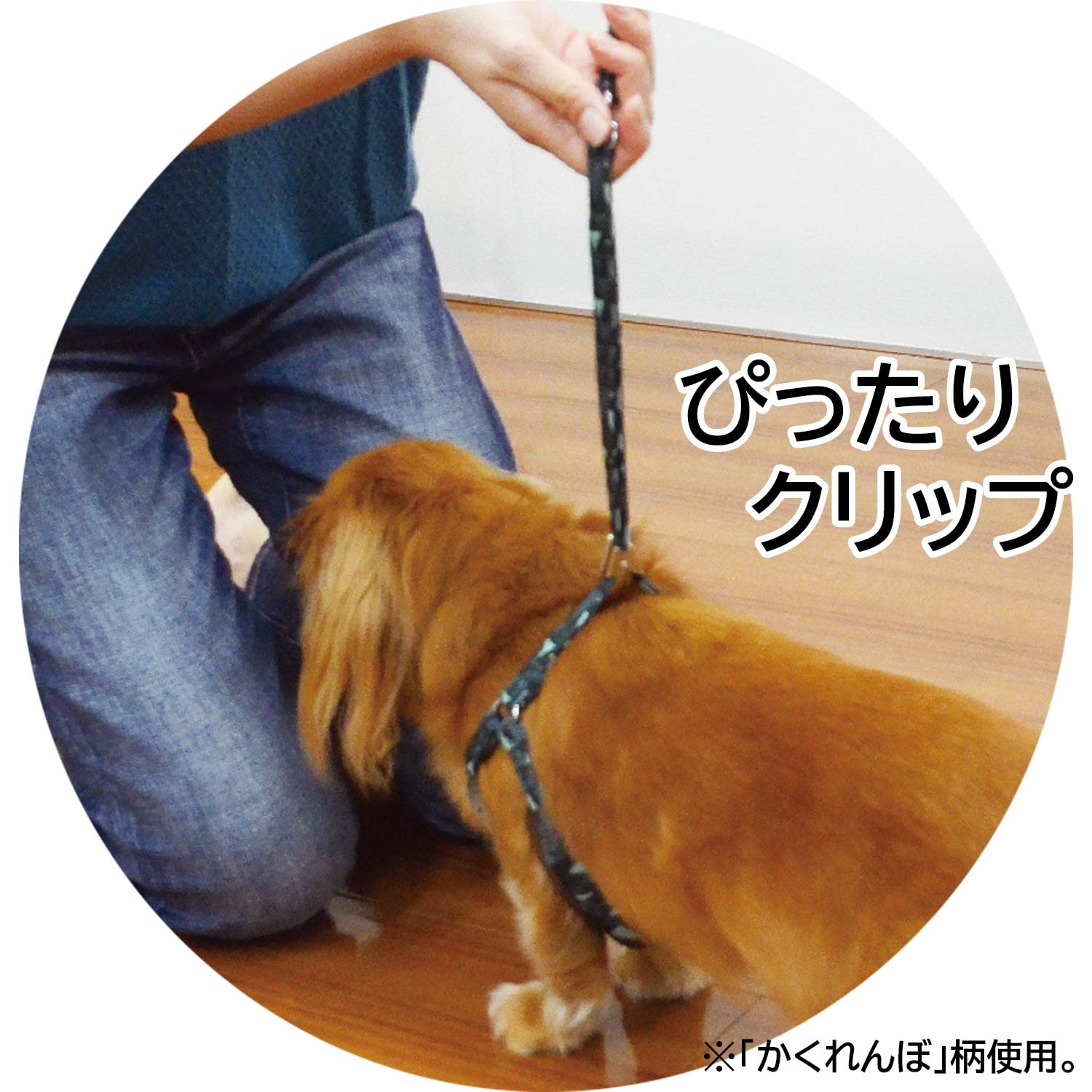 お値下げします❗️Sサイズ 伸縮リードハーネス、首輪 とおまけで爪切りスプーン付き Amazon.co.jp: ドギーマン おそとたんけんソフトハーネスリード S おべ
