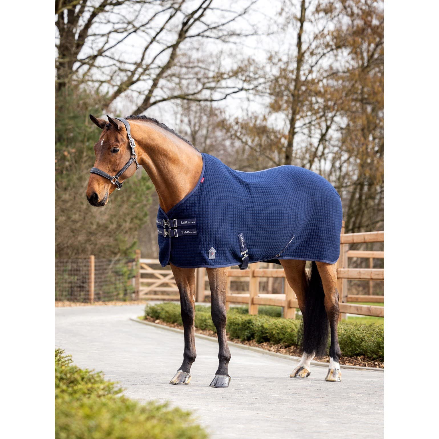 LeMieux Arika Clima-Tek - Navy Blue 5ft9