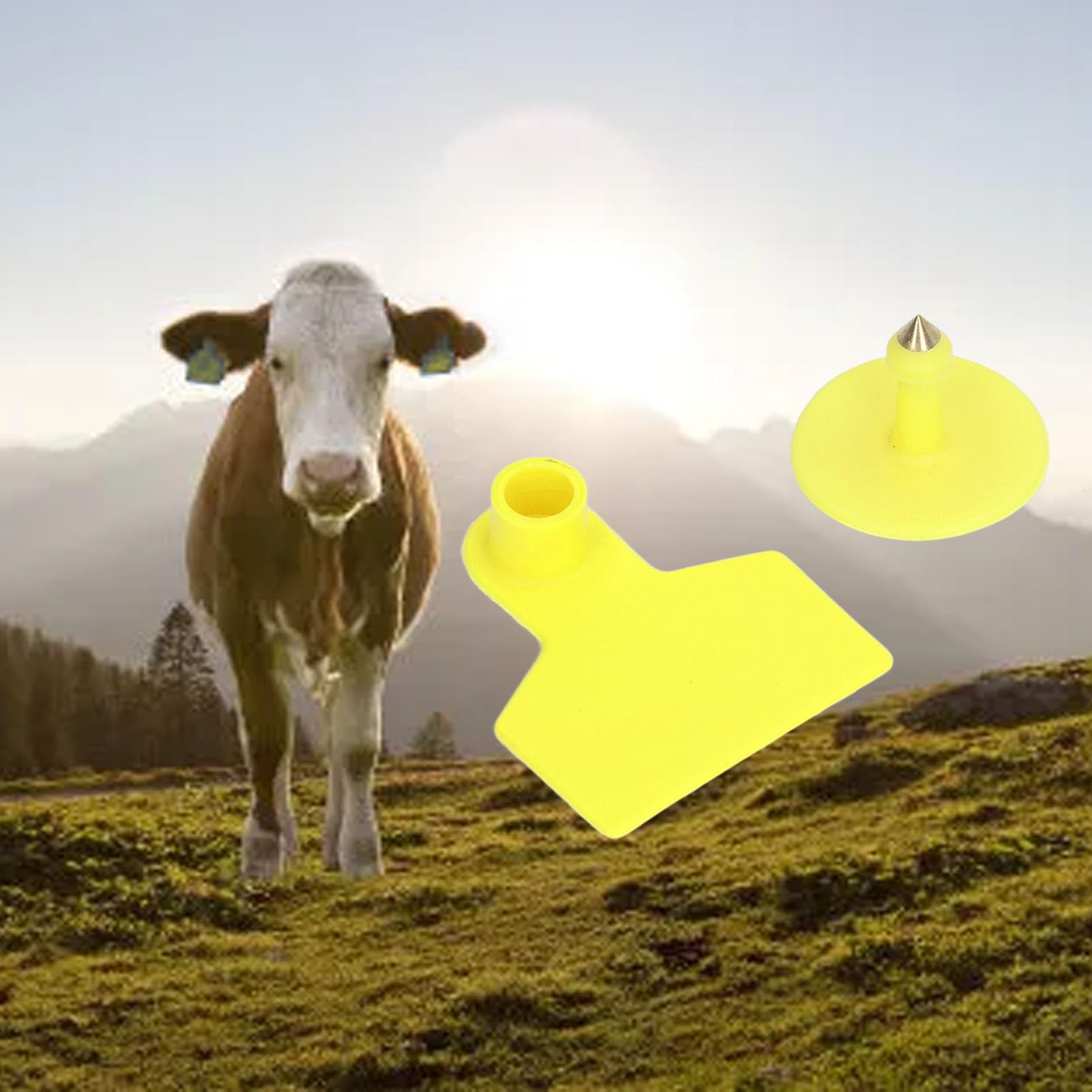 Pyhodi 100 Ensembles D'étiquettes d'oreille Vierges pour Bovins, étiquettes d'oreille de Bétail, étiquettes d'oreille Jaunes D'identification de Bétail, étiquettes de Marqueur de Boucle