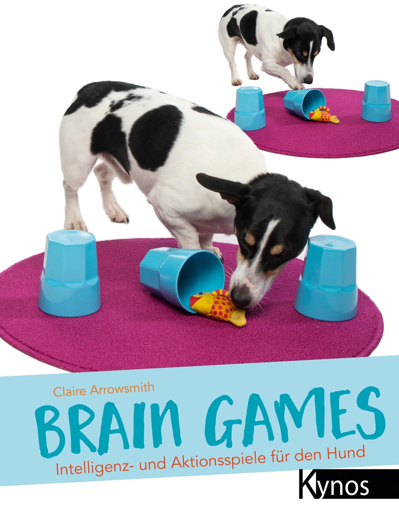 Brain Games: Intelligenz- und Aktionsspiele für den Hund