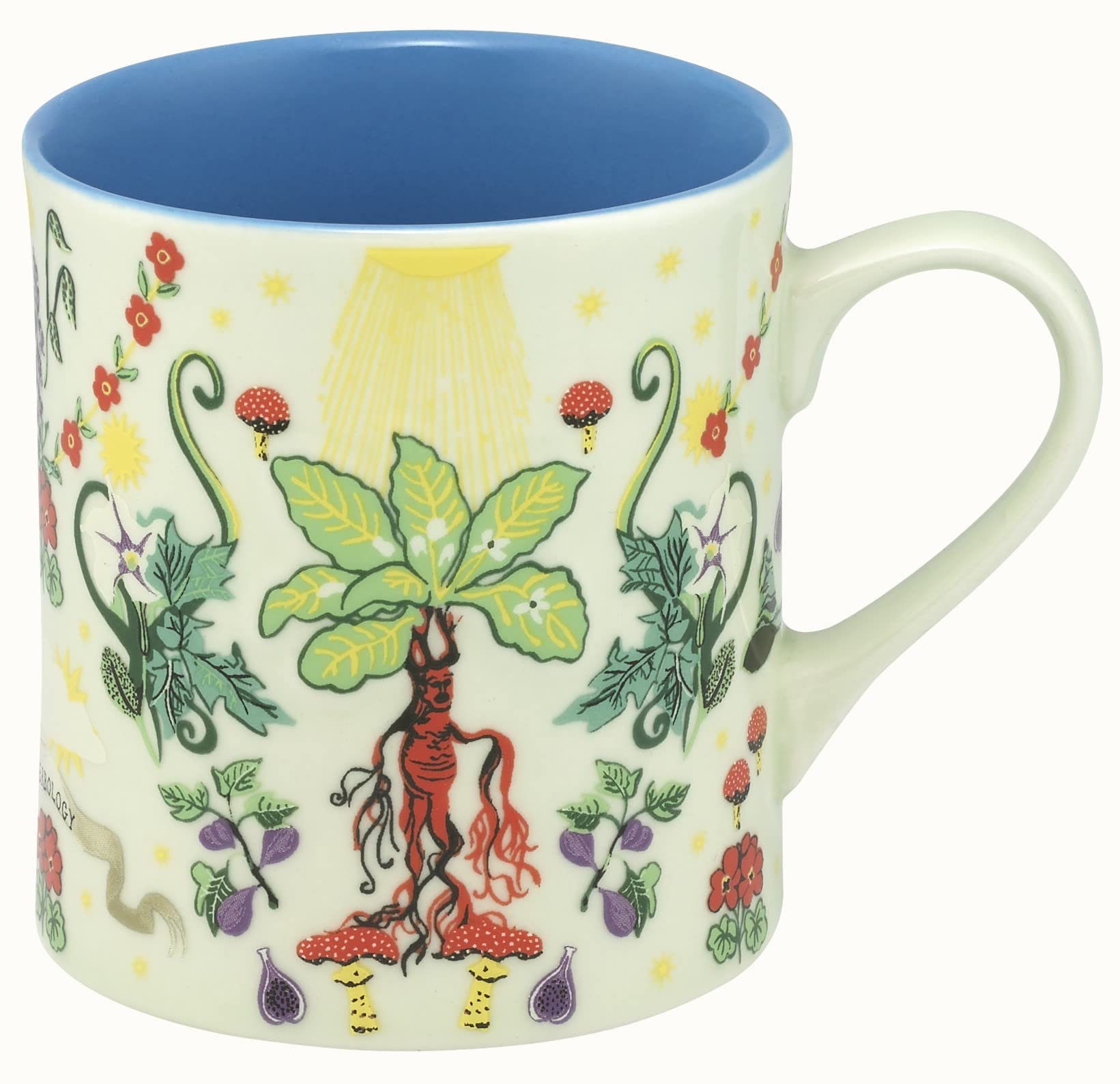 Cath Kidston Harry Potter Herbology Stoneware Mollie Mug : Buy