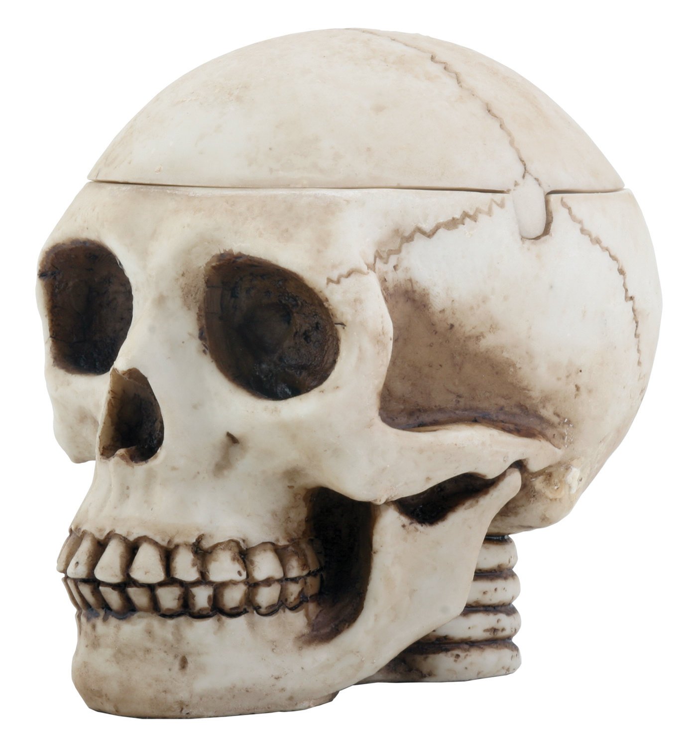 SUMMIT COLLECTION StealStreet Skull Head Box Ashtray Display Decoration