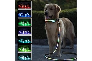 Lighted Dog Leash for Night Walking: Illuminate Your Evening Strolls