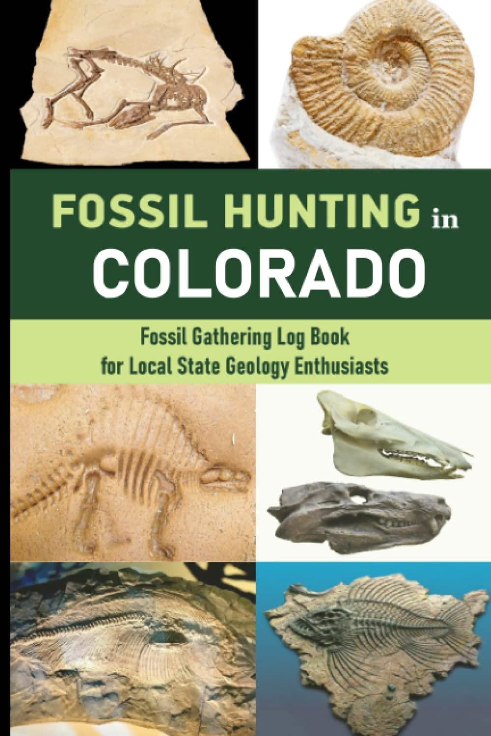 Arriba 75+ imagen fossil hunting colorado Abzlocal.mx