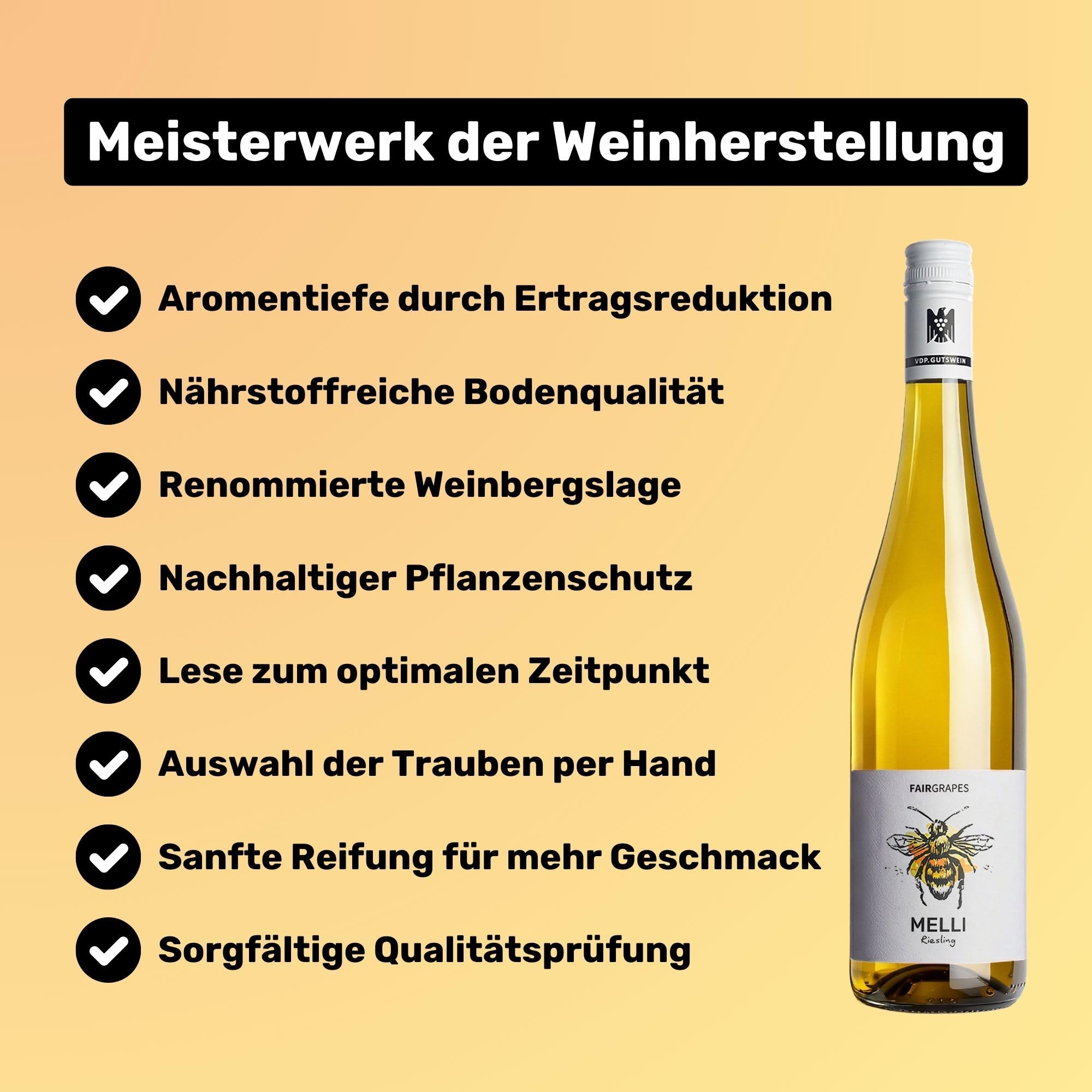 FairGrapes Riesling »Melli« | 89+ Punkte Falstaff | VDP.Gutswein | 2023 Weißwein Trocken | Limette & Grapefruit | Geschenkidee (6 x 0.75 l)