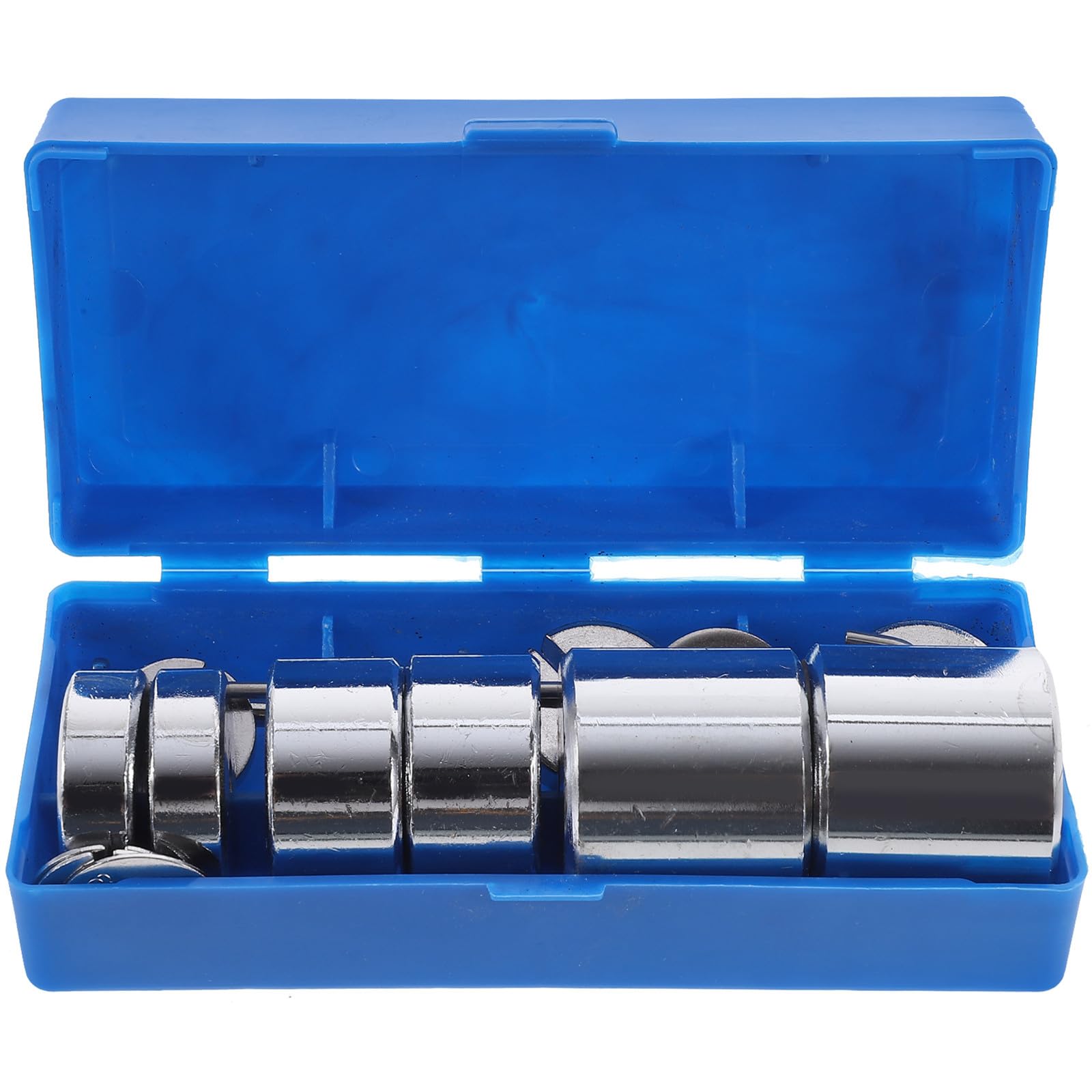 Set di Pesi Scanalati da Laboratorio in Metallo Gancio e Custodia, Masse Scanalate per Esperimenti di Fisica, Strumenti Didattici per Laboratori Scolastici di Meccanica, Materiale