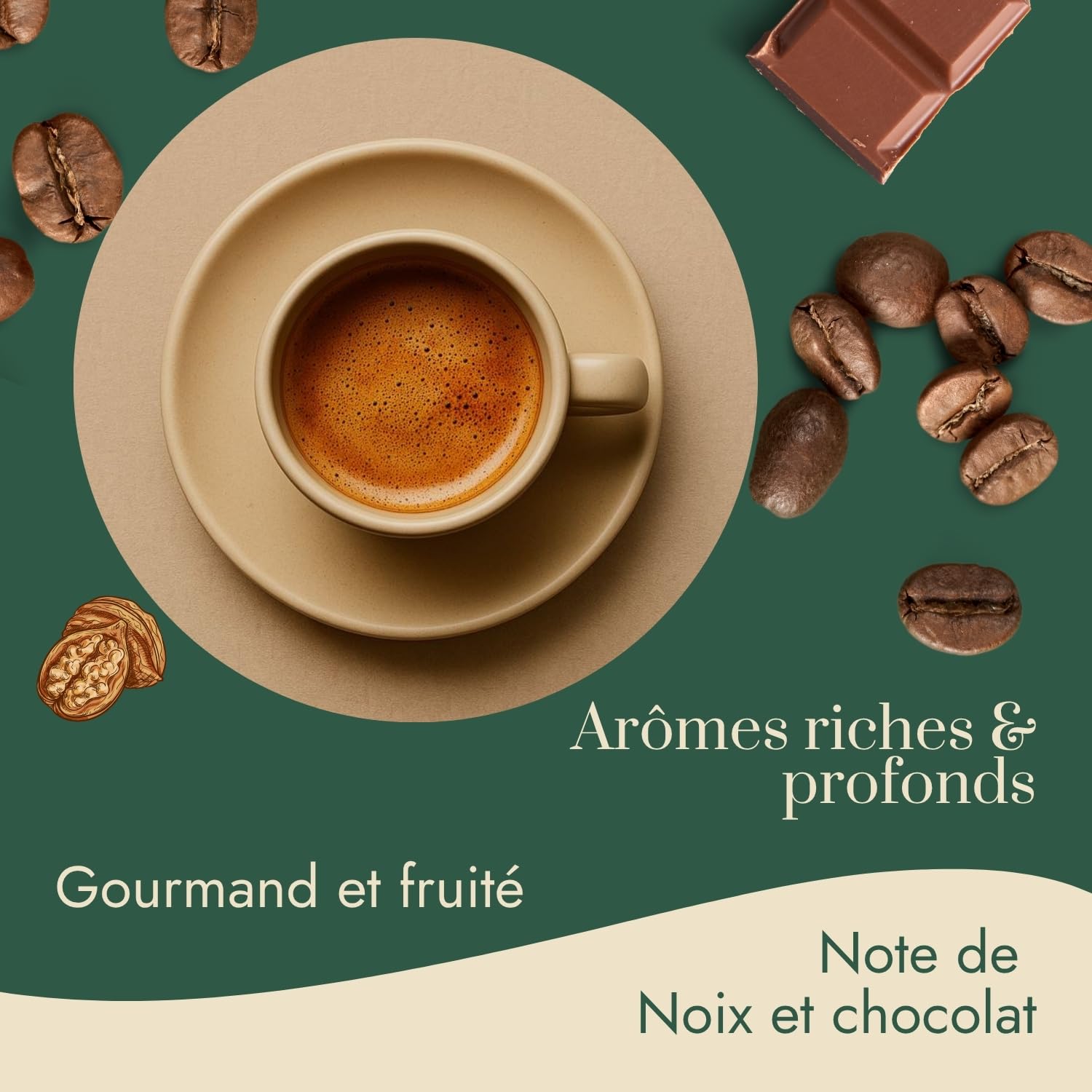 Graindecafé – Café Vert Mexique Altura 1kg | 100% Arabica Lavé Non Torréfié | De Montagne Rond Et Léger | Notes De Noisette Et Épices Douces | Idéal Machine À Grain Une Fois Torréfié