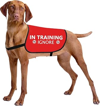 HOLLP Training Dog Jacket Vest In Training Ignore Dog Vest Dog Walking Jacket Warning Vest In Training Ignore-Large