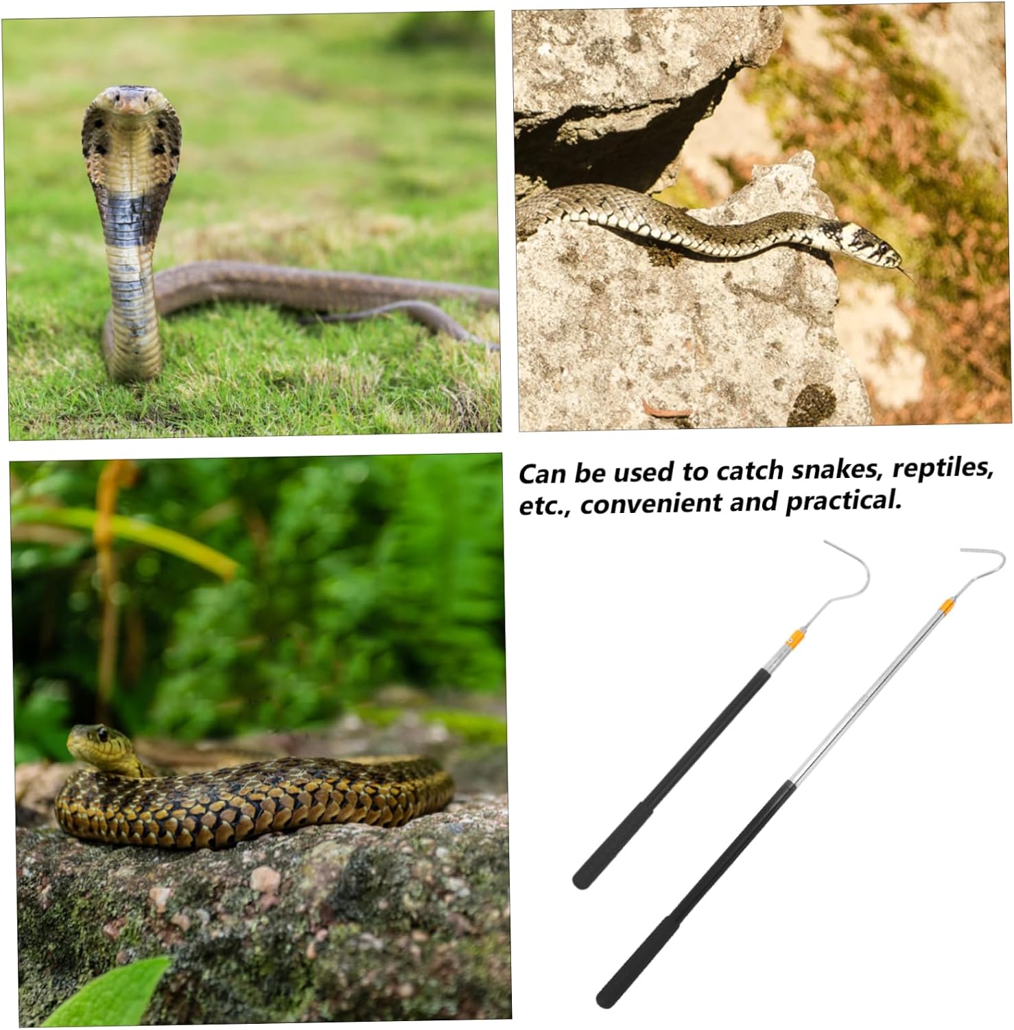 Telescoping Snake Hook Tool Adjustable Stainless Steel Snake Catcher for Handling of Various Easy to Use