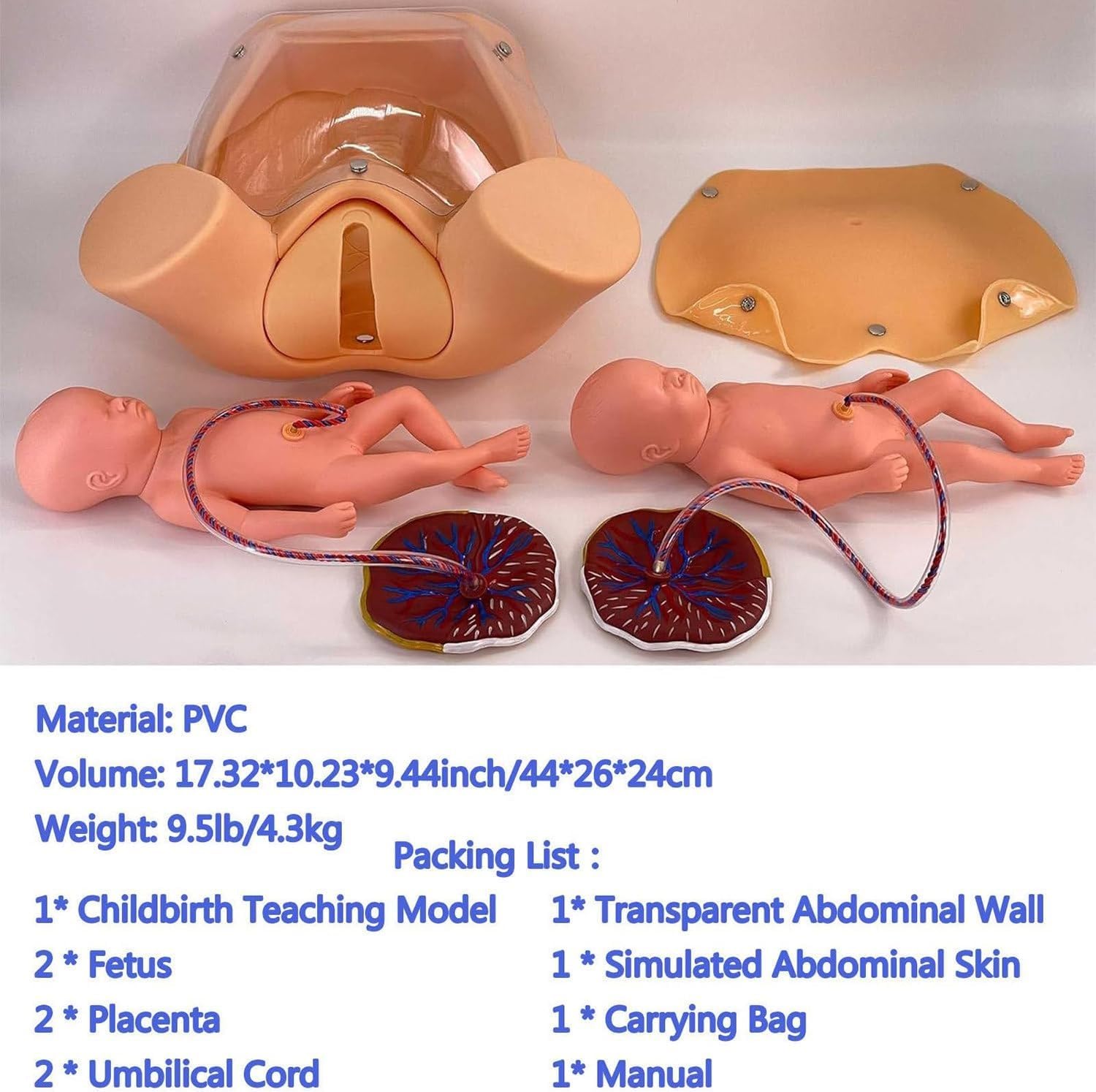 Simulador de parto - Modelo avanzado de entrenamiento de partería para educación médica, herramienta de práctica de parto gemelos de tamaño real para ginecología y enseñanza de maternidad