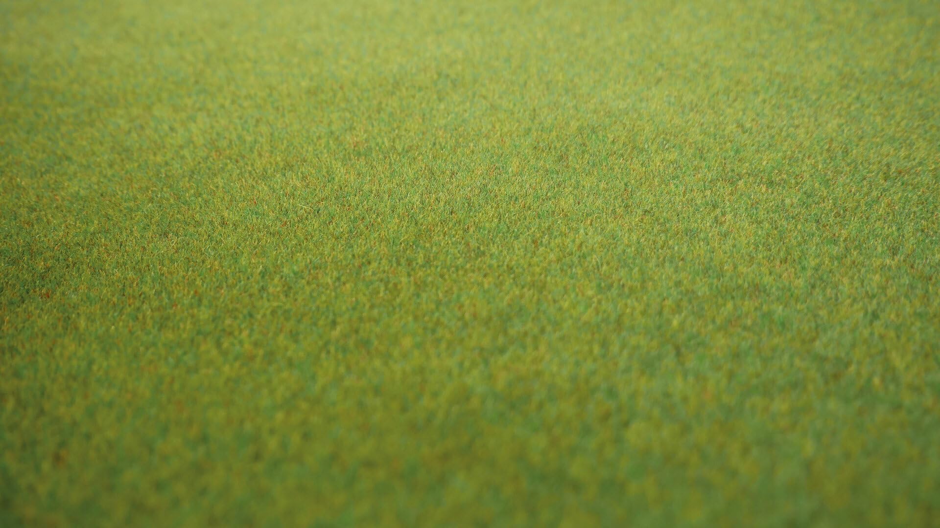 NOCH® Grasmatte „Frühlingswiese“, mit Modellbau Gras, 300 x 100 cm für die Spurweiten H0, TT, N, Z perfekt auch zum Basteln und DIY