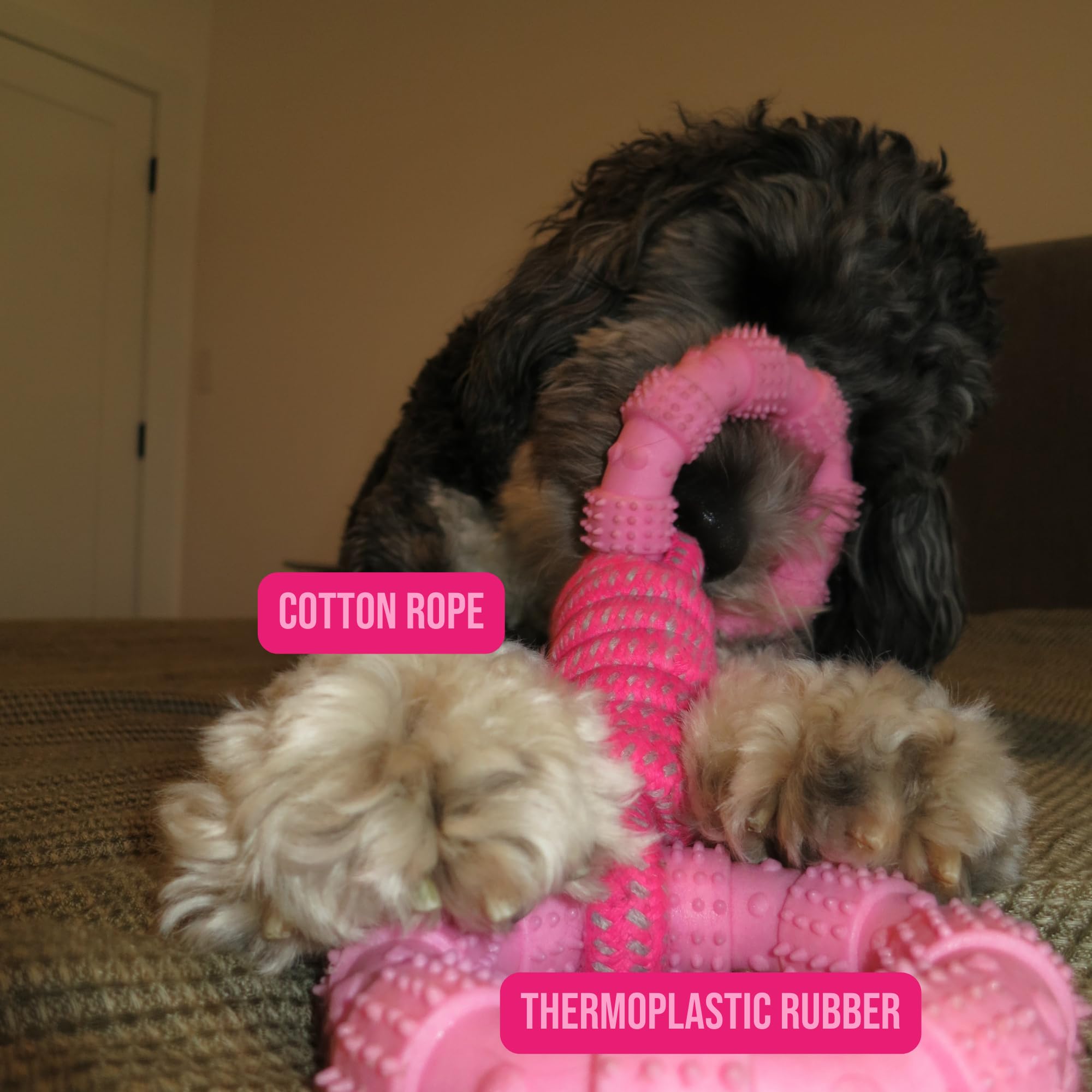 War Of The Ring Dougs Dog Supplies Ring Rope Toy, Tug Of War Dog Toy ...