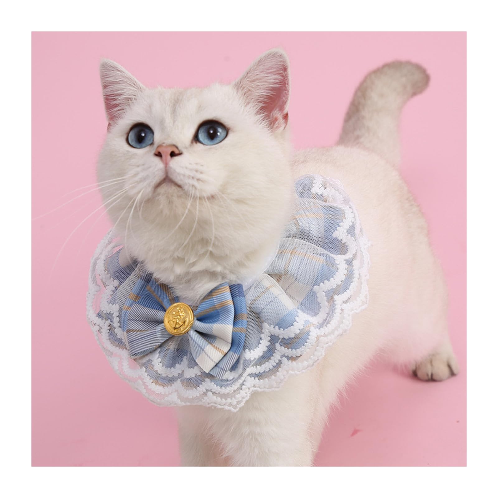 Amazon | AQUALOACH 猫用レースフリルカラー 可愛い蝶ネクタイ