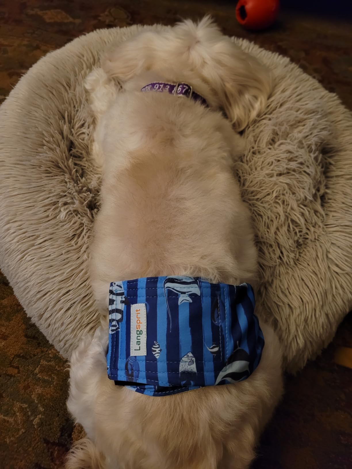 Male Dogs Diapers Belly Bands(4Pack), Washable Reusable