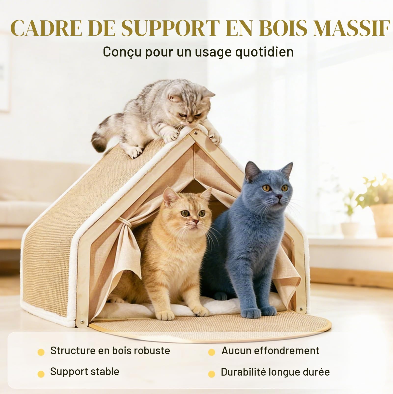 Maison pour Chat 2 en 1 avec Griffoir en Sisal