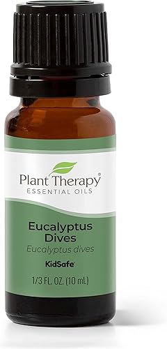 Plant Therapy Aceite esencial de Eucalyptus Dives 10 mL (13 oz) 100% puro, sin diluir, grado terapéutico