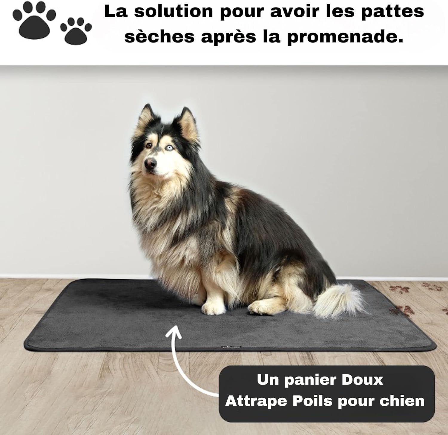 Aladino Tapis d’Entrée Intérieur/Extérieur pour Maison, Salle de Bain & Cuisine, Antidérapant, Lavable, Ultra Absorbant, Tailles et couleurs variées, Made in Italy 100x130cm, Marron