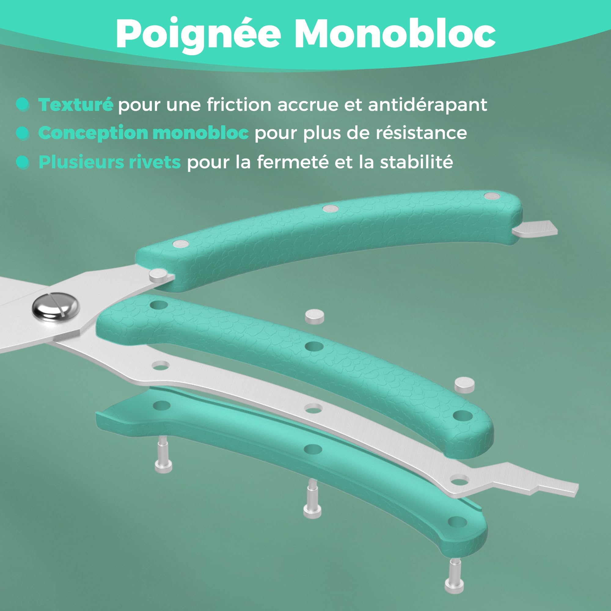 HAUSHOF Ciseaux à Volaille Robustes 255 mm, Ciseaux de Cuisine Professionnels en Acier Inoxydable Robustes et Tranchants pour Poulet, Viande, Poisson, Os et Légumes