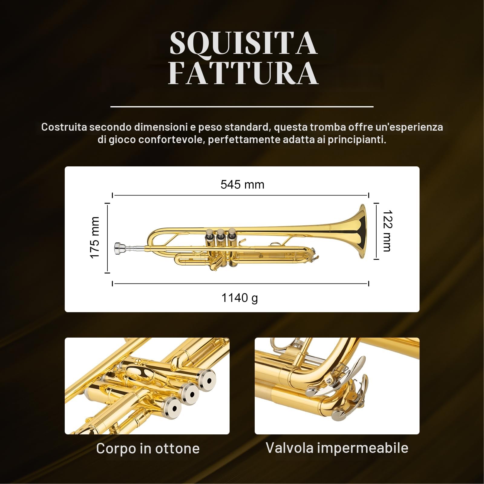 SONICAKE Tromba Bb Standard per Principianti, Tromba Studentesca in Ottone Dorato con Custodia Rigida, Bocchino 7C e Guanti QTP-01