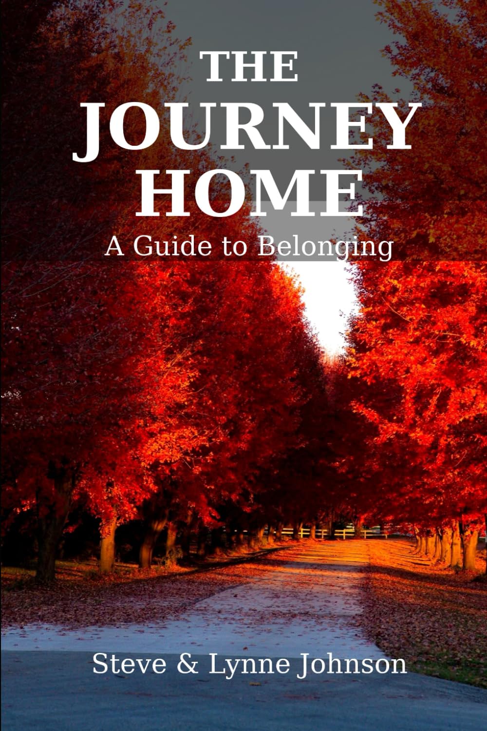 The Journey Home: A Guide To Belonging