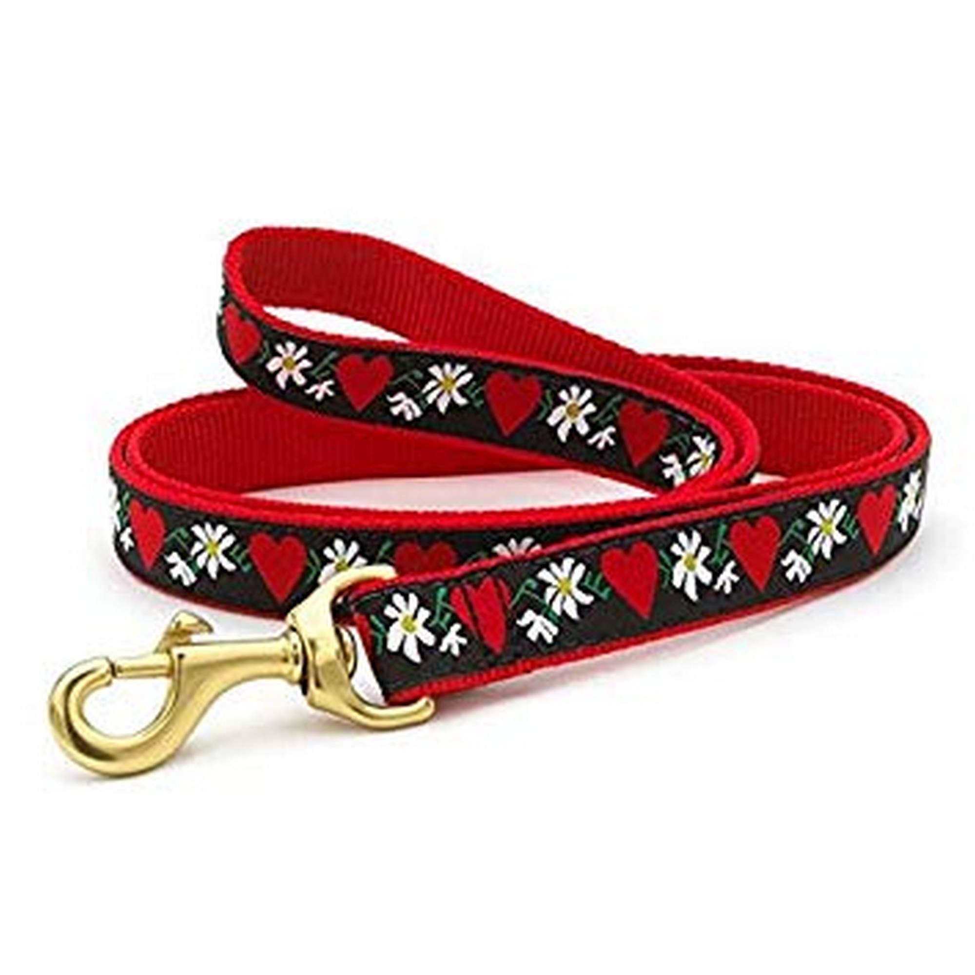 Up CountryHFL Slim L N Hearts and Flowers Dog Lead 5/8 inch