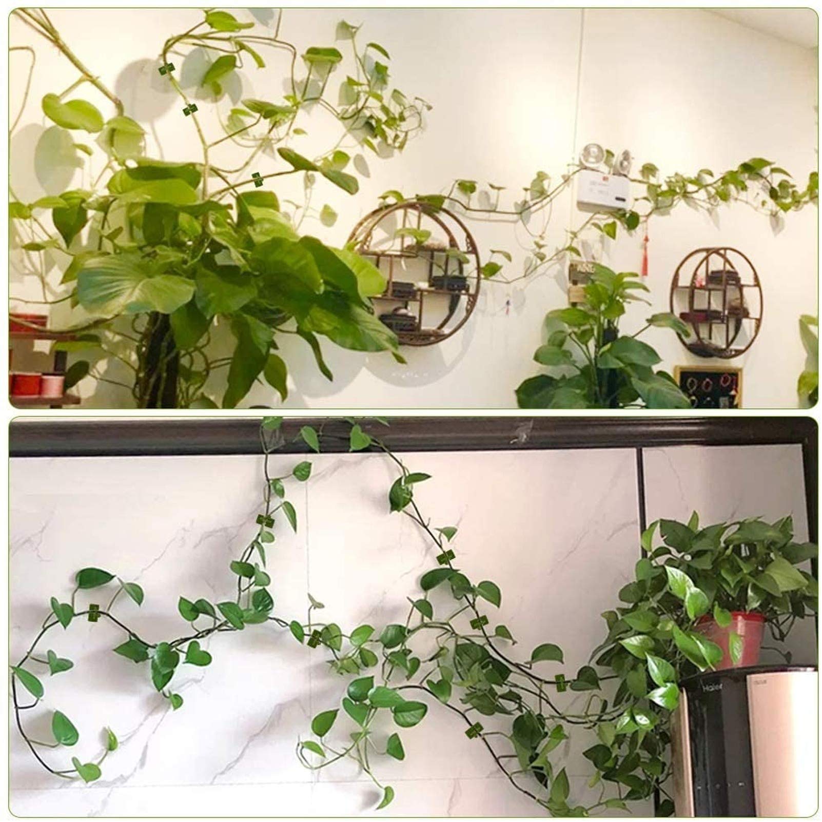 Clips De Support Pour Plantes Grimpantes - Lot De 100 Plante Grimpante Support Tuteur Clips