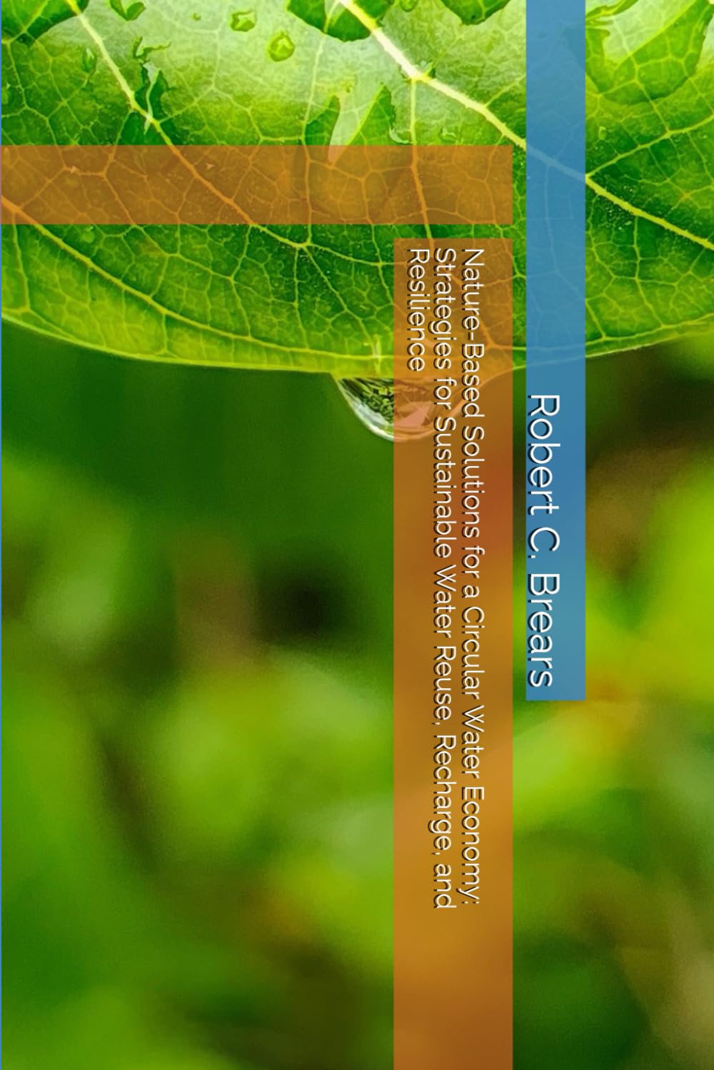 Nature-Based Solutions for a Circular Water Economy: Strategies for Sustainable Water Reuse, Recharge, and Resilience