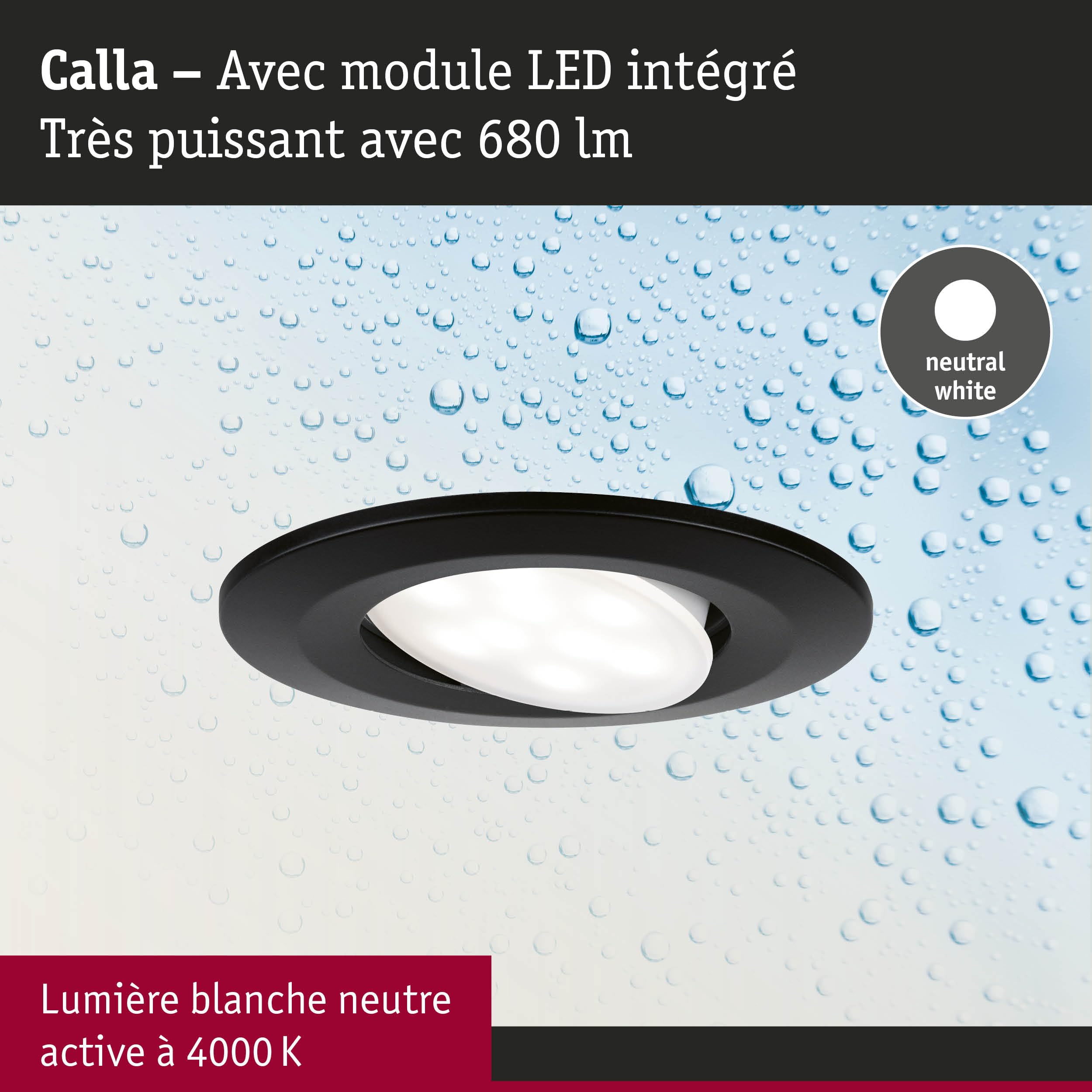 Paulmann 92462 spots encastrés LED Calla rond kit de 10 10x6W IP65 blanc neutre proj. encastré Noir mat orientable Spots plast. lampe encastrée 4000K