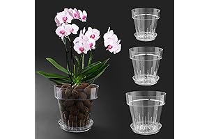 3-Piece Crystal-Clear Acrylic Orchid Planters for Enduring Beauty