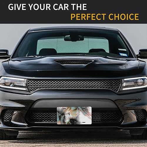 Miniatura 8 de Placa de matrícula decorativa de calavera abstracta, placa frontal de metal de aluminio para automóvil, camión, SUV, 6 x 12 pulgadas (4 agujeros)