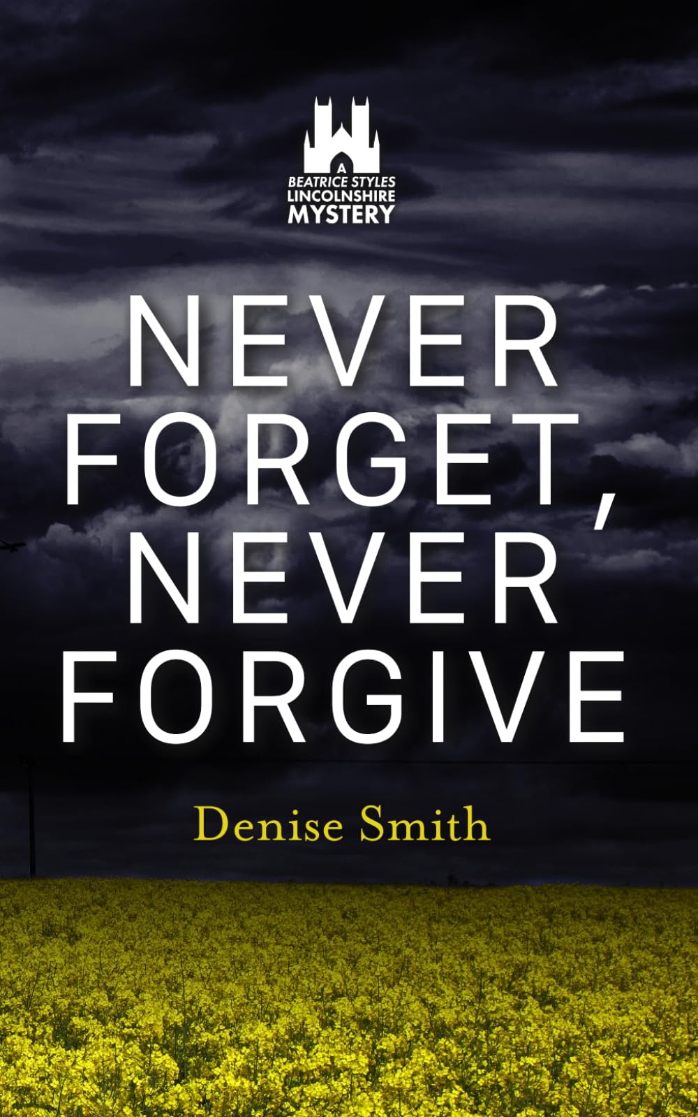 Never Forget, Never Forgive: 1 (Lincolnshire Mystery Series)