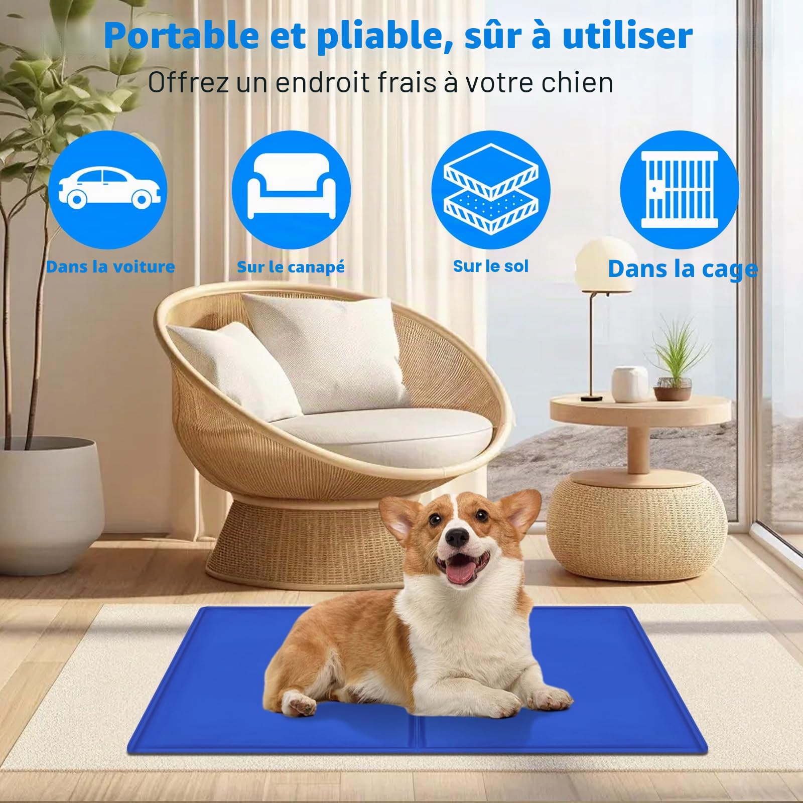 Tapis Rafraichissant Chien 65 x 50cm, Auto-Refroidissant Tapis Refroidissement Chien, Carpet Refrigerant Animaux en Gel Non Toxique pour Chiens, Cooling Mat for Dogs and Cats