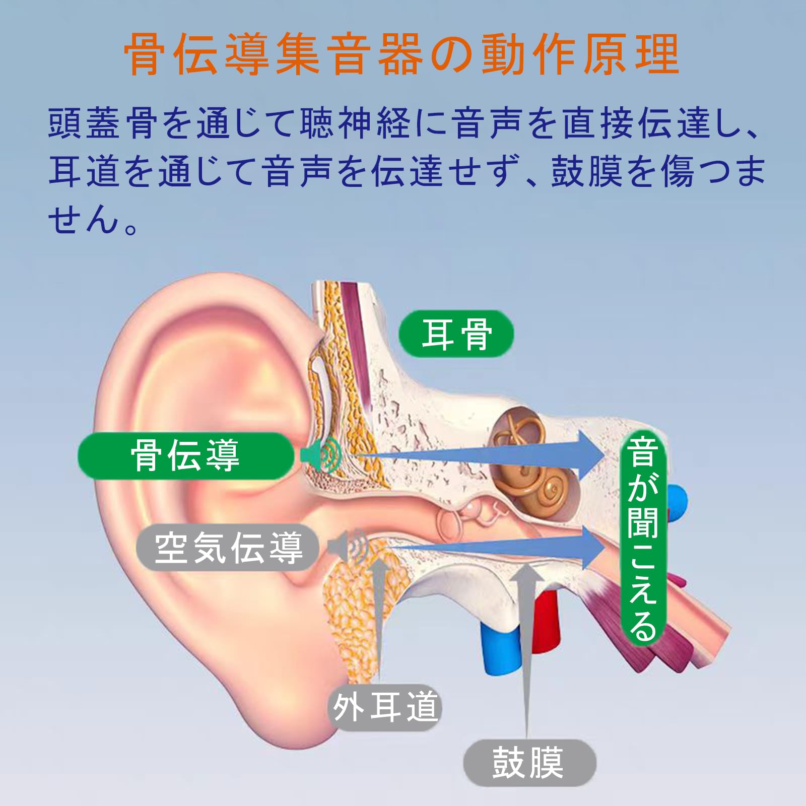 集音器 骨伝導 イヤホン 充電式 8段階音量調節 ノイズ低減 ハウリング防止 Amazon.co.jp: Micfendy 集音器 骨伝導 イヤホン 充電式 8段階