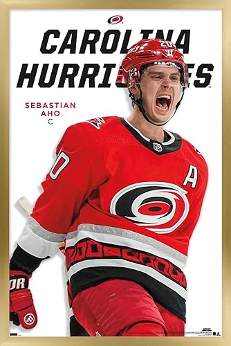 Trends International NHL Carolina Hurricanes - Sebastian Aho Feature Series 23 - Póster de pared