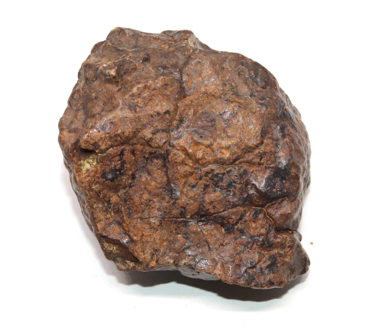 Fossils, Meteorites, & More Genuine Stony Meteorite Chondrite 124.7 gm #17135