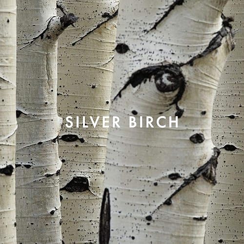 Miniatura 4 de Aerosol de colonia Shi Alfred Sung para mujeres