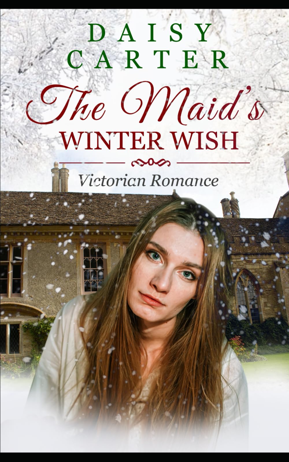 The Maid's Winter Wish (The Victorian Family Sagas)