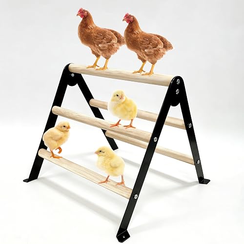 XCL Chicken Perch for Baby Chicks, Chicken Roosting Bars, Chicken