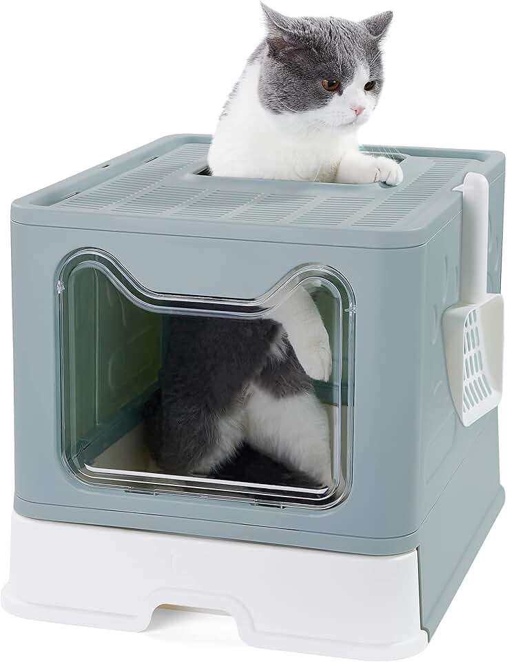 Amazon.ca cat litter boxes