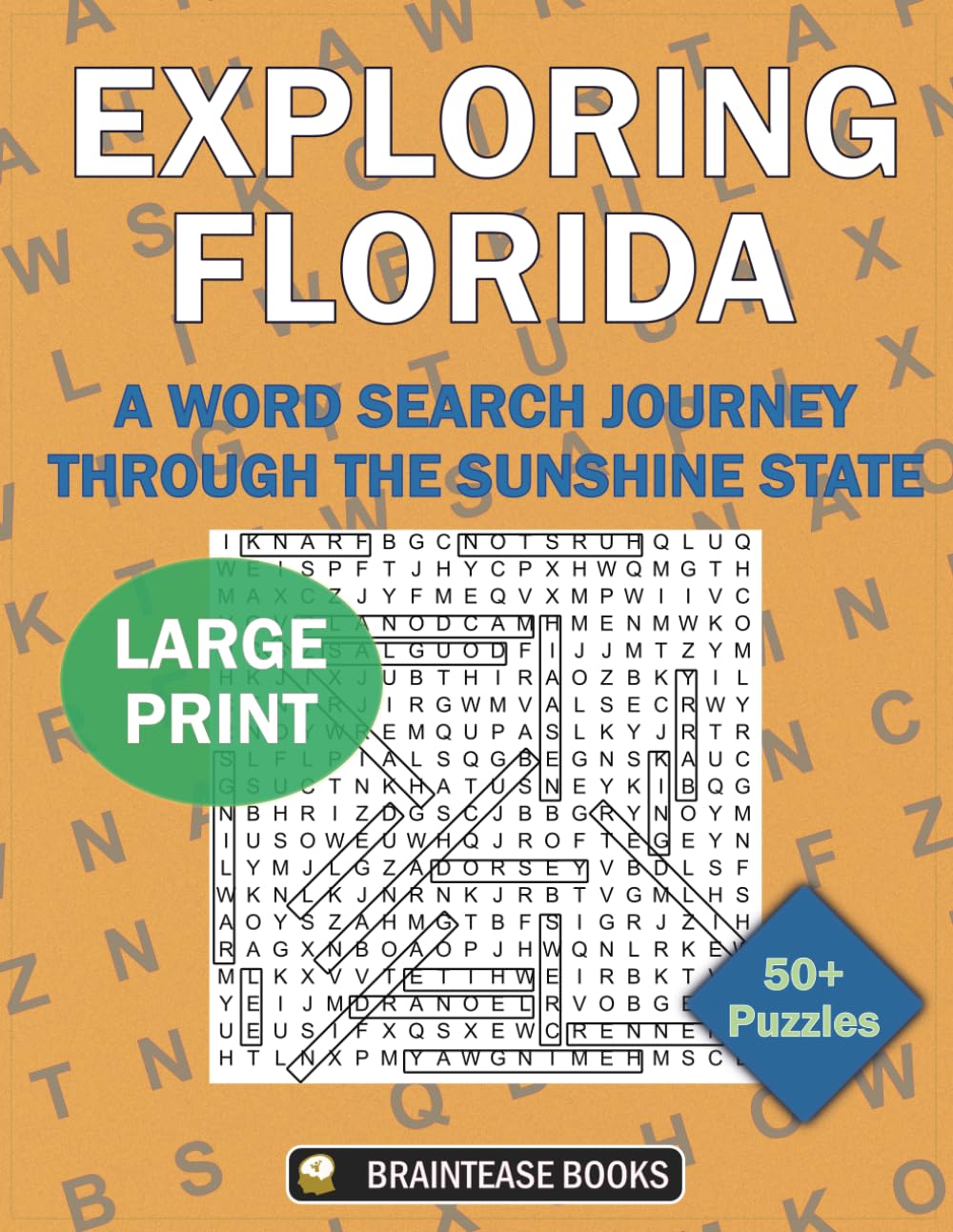 Exploring Florida: A Word Search Journey through the Sunshine State: Journey Through Florida with Words