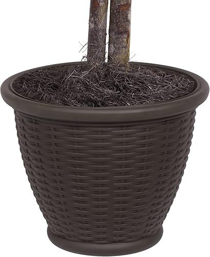 Miniatura 3 de Vickerman Arbusto de álamo dorado artificial de 4 pies, contenedor de plástico marrón.