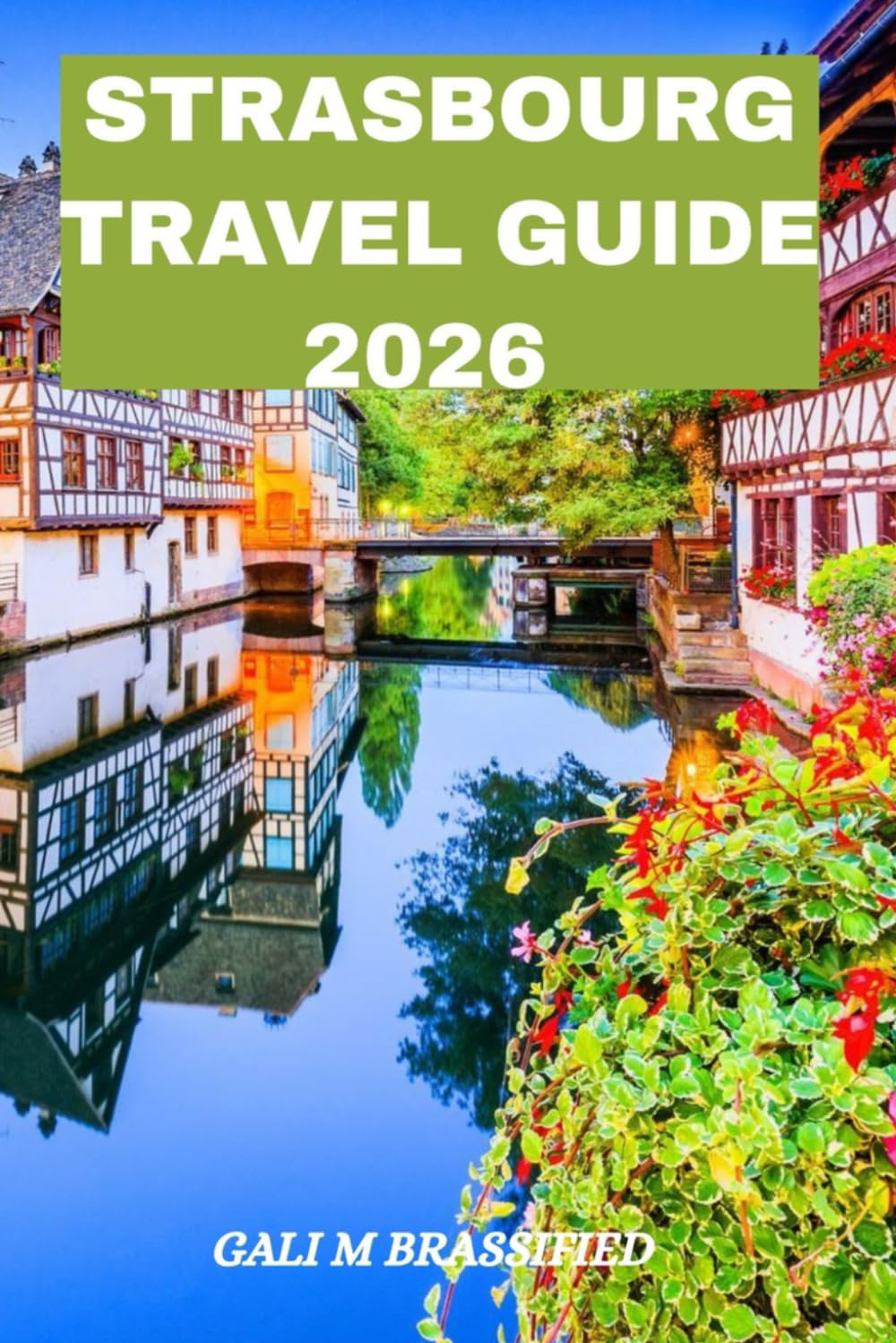 STRASBOURG TRAVEL GUIDE 2026: Discover the Heart of Alsace: Hidden Gems, Food Secrets, and Unforgettable Journeys Through Strasbourg