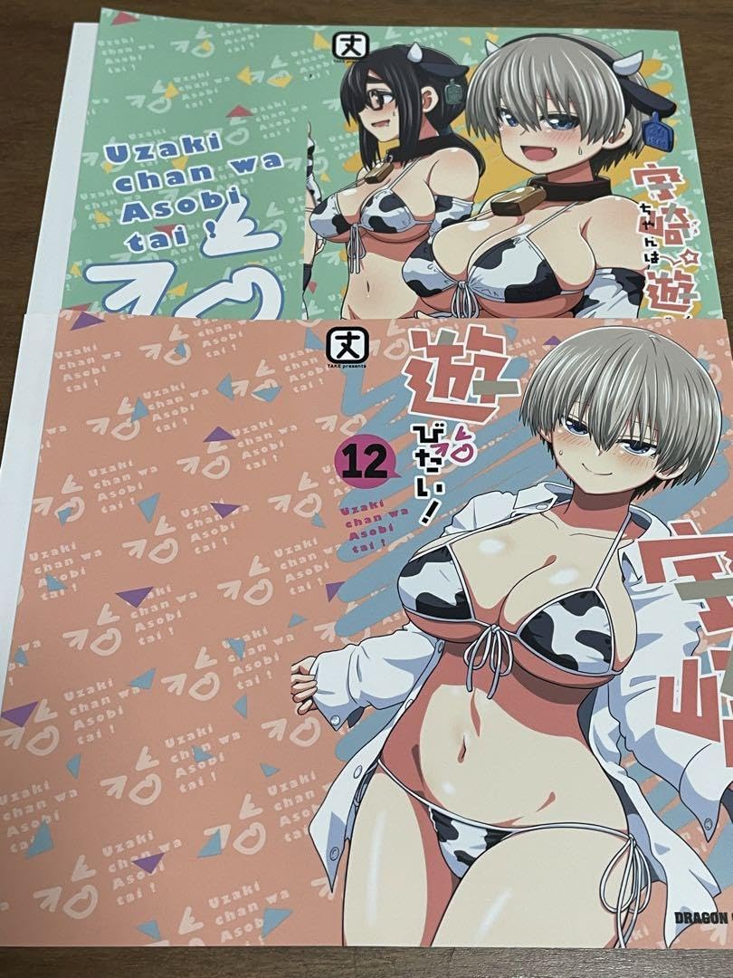 宇崎ちゃんは遊びたい!ゲーマーズ購入特典　着せ替えブックカバー　12点セット Amazon.co.jp: 宇崎ちゃんは遊びたい 11巻 12巻 ゲーマーズ特典 ブック