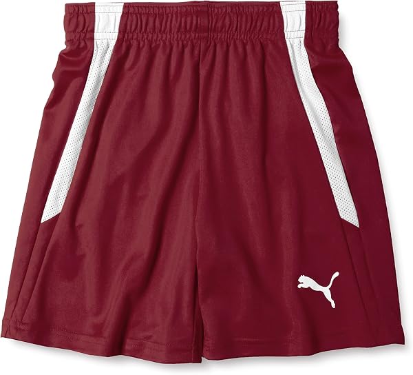 PUMA(プーマ) サッカー 吸水速乾 ショートパンツTEAMLIGA ゲームパンツ JR 705145ユニセックス子供 - 5