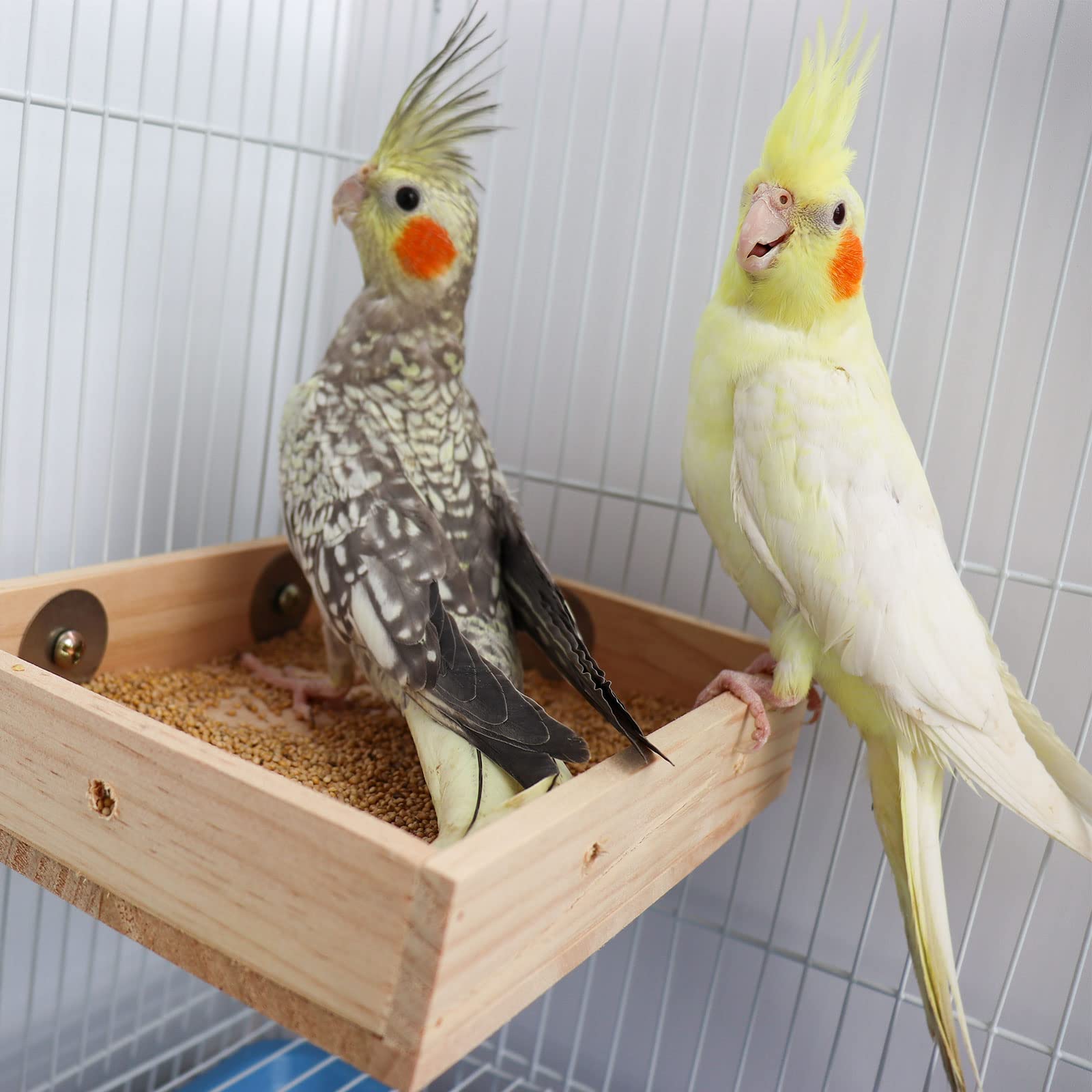 Bird Feeding Cups, Natural Wooden Parrot Perch Stand, Birds Food Dish, Parakeets Feeder Bowl, Cage Accessories for Small Animals Rat Hamster Guinea Pig Chinchillas Budgies Cockatiels Love Birds - image 2