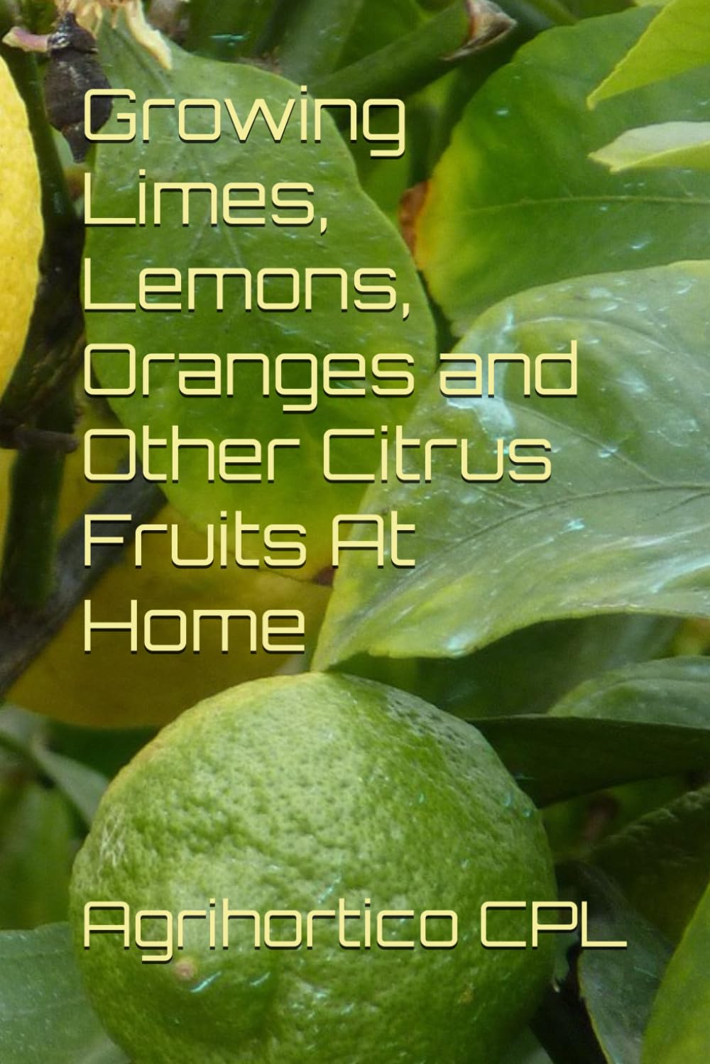Growing Limes, Lemons, Oranges and Other Citrus Fruits At Home (All About Fruits and Nuts)