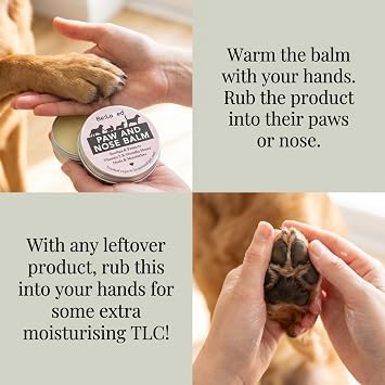 Be:Loved - Be:Soft Dog Paw Balm - Dog Accessories, Horse and Cat Essentials - Natural Paw & Nose Pet Care with Vitamin E, Manuka Honey & Shea Butter - Handmade in the UK - 60g