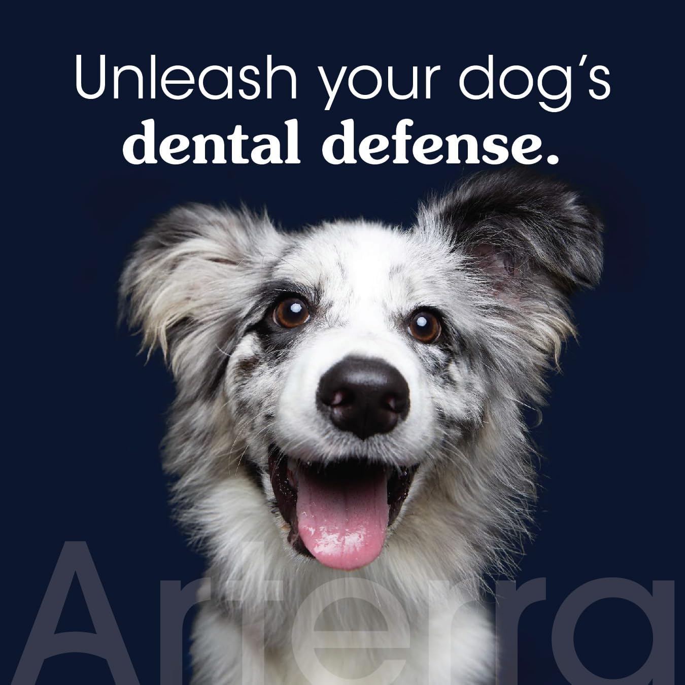 Reizing Dog Tootaste – Vet-Grade, with Nano-Hydroxyapatite,