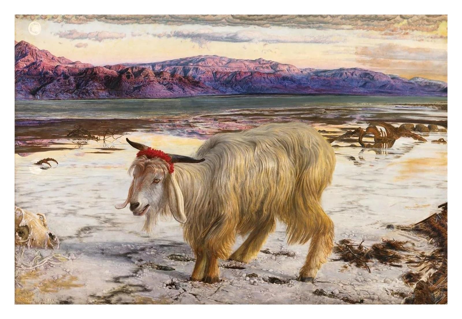 Posters Animaux Intéressants Mouton Peintures Toile Décoration 50x70