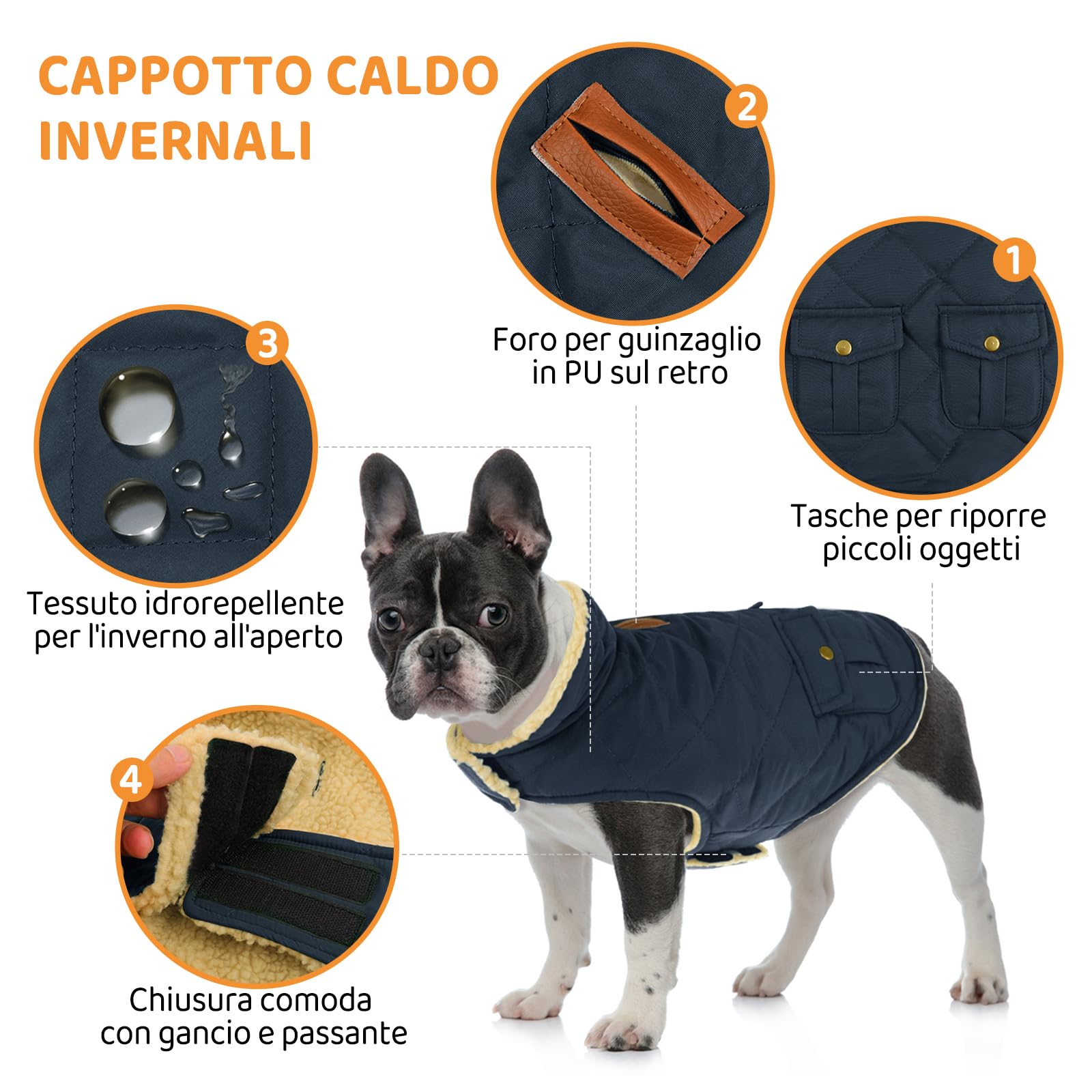 Queenmore Cappottino Cane Taglia Piccola Cappotto Cane Caldo Cappotto Impermeabile Per Cani Giubbotto Invernale Pile Vestiti Per Cani Bassotto Bulldog Francese Chihuahua, Blu, S